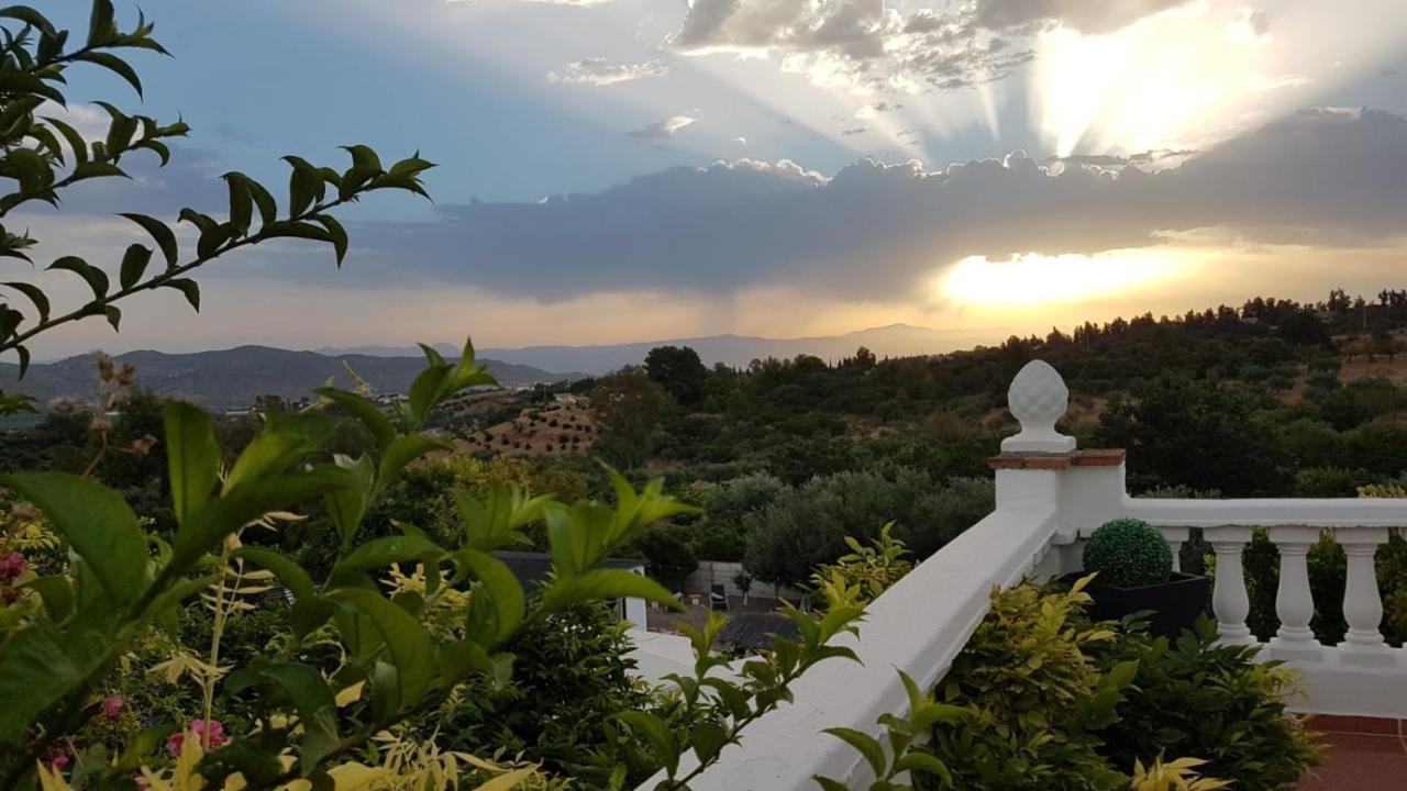 Finca Rayo Del Sol Alhaurín el Grande Eksteriør bilde