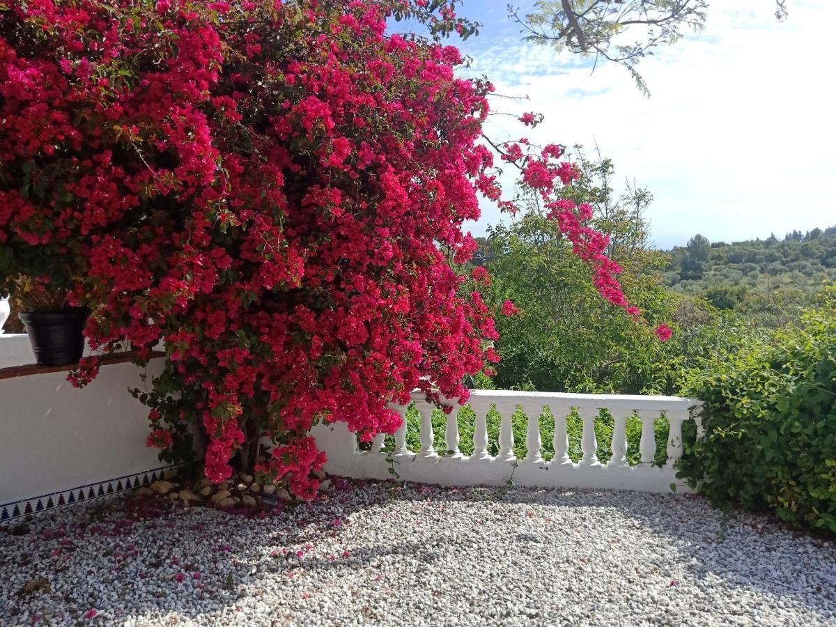 Finca Rayo Del Sol Alhaurín el Grande Eksteriør bilde