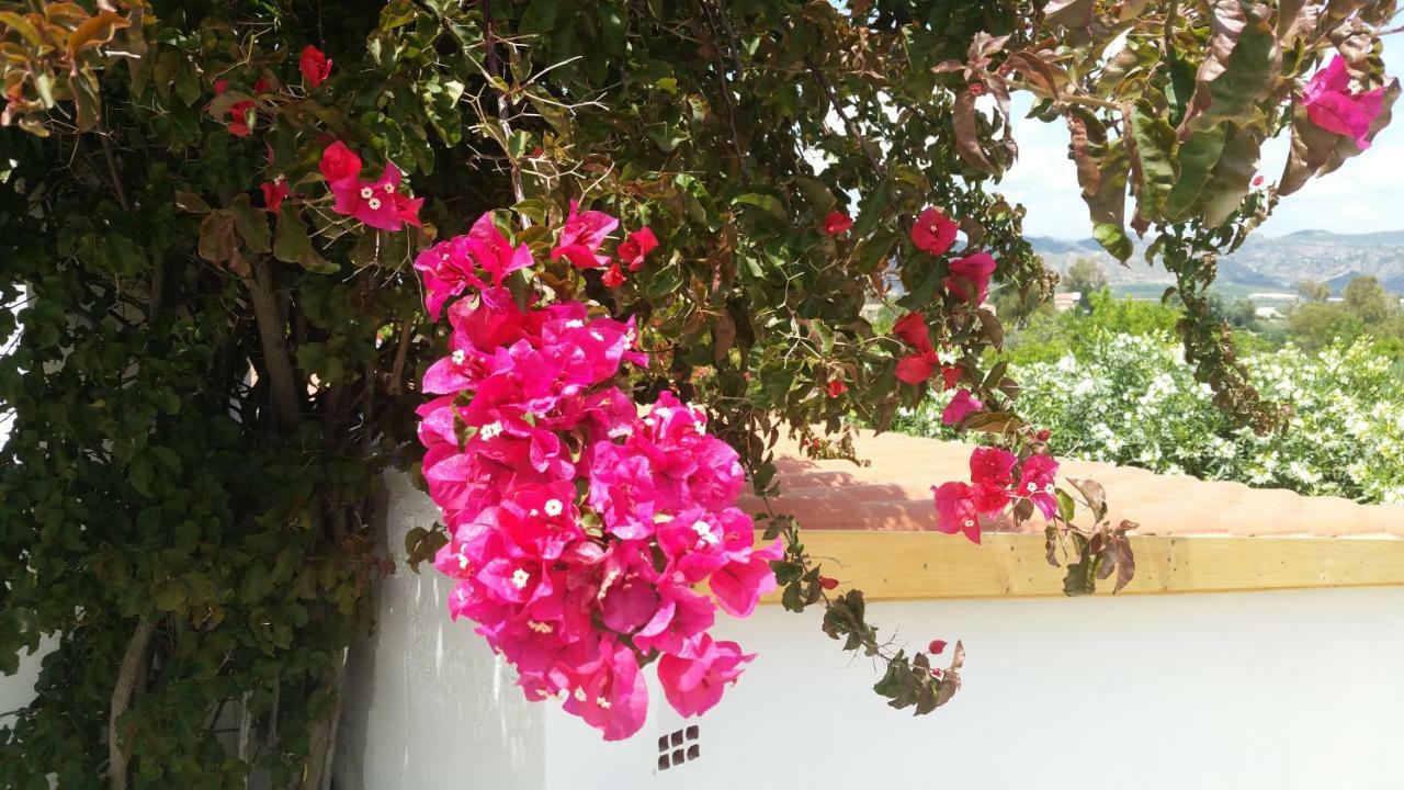 Finca Rayo Del Sol Alhaurín el Grande Eksteriør bilde