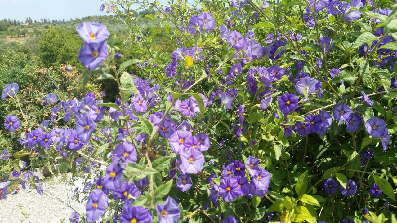 Finca Rayo Del Sol Alhaurín el Grande Eksteriør bilde